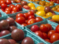 ingrasaminte chimice complexe