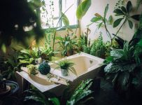 modele plante interior